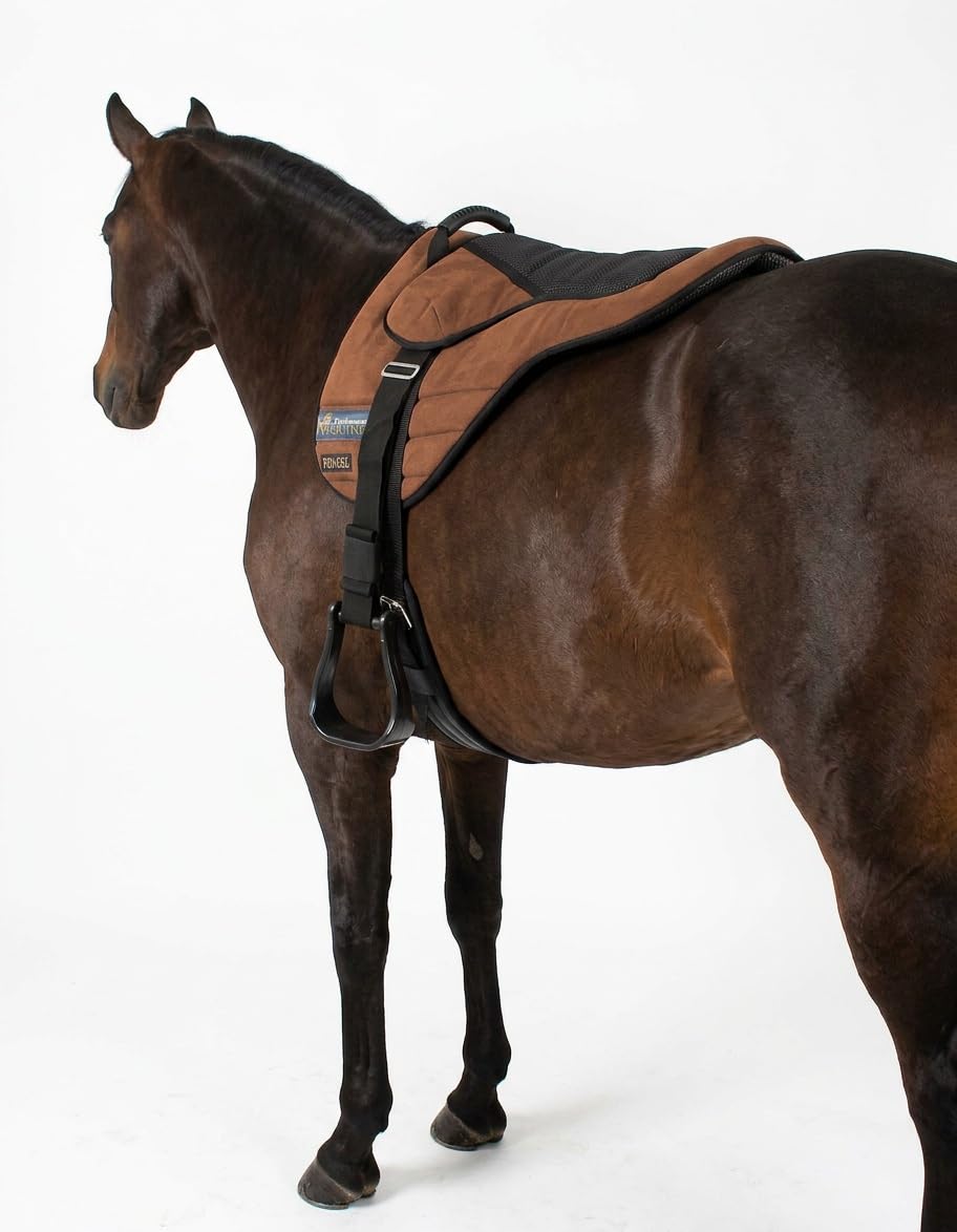 Lightweight Neoprene Padded Bareback Saddle Pad E30065