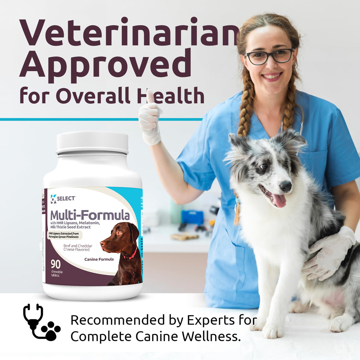90 Tablets Beef Flavor Dog Multivitamin Y582600