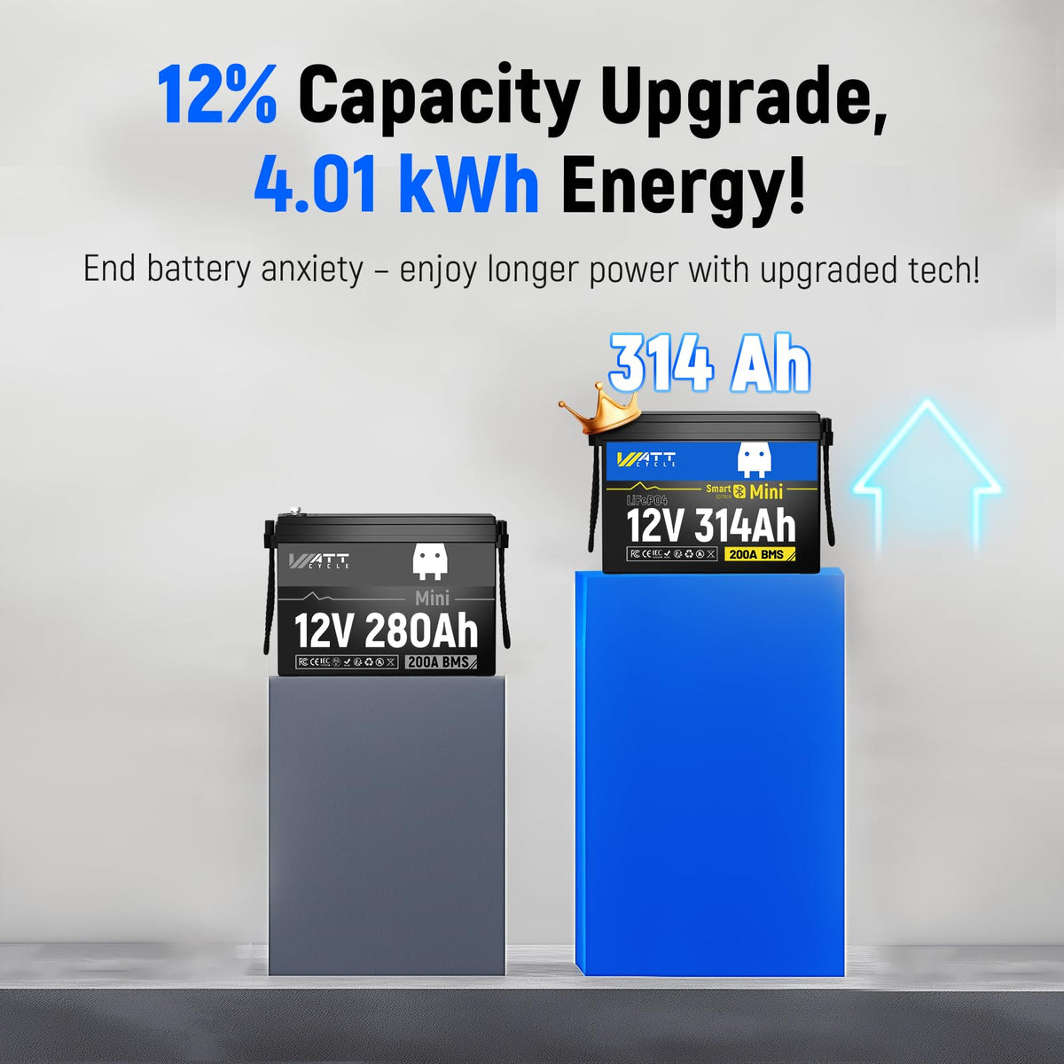 12V 314Ah LiFePO4 Battery 2 Pack Q7262