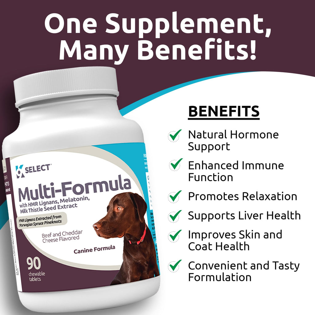 90 Tablets Beef Flavor Dog Multivitamin Y582600
