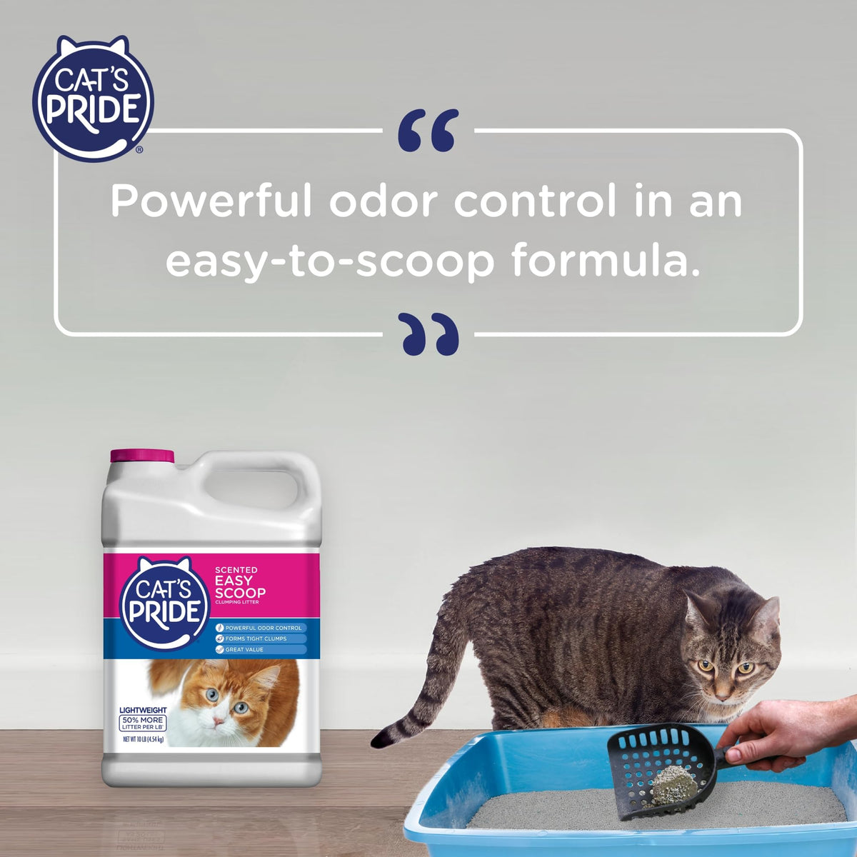 Scented Clumping Cat Litter 10lb B456