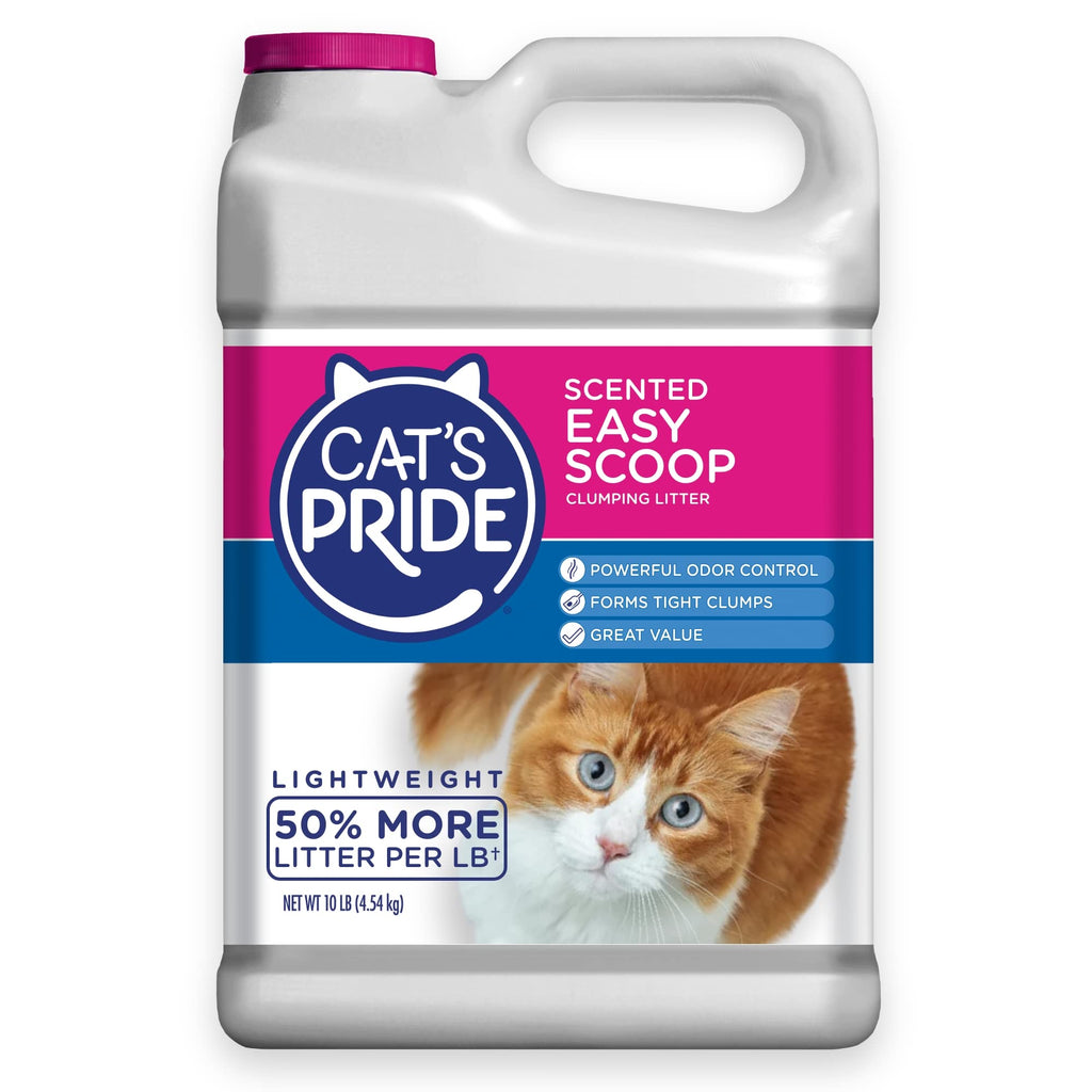 Scented Clumping Cat Litter 10lb B456