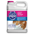 Scented Clumping Cat Litter 10lb B456