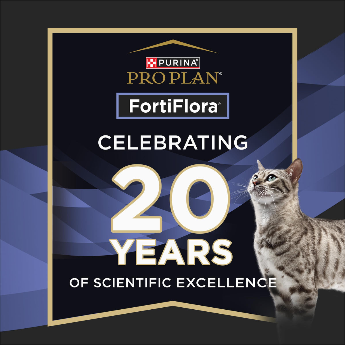 Probiotic Powder Supplement for Cats O9560