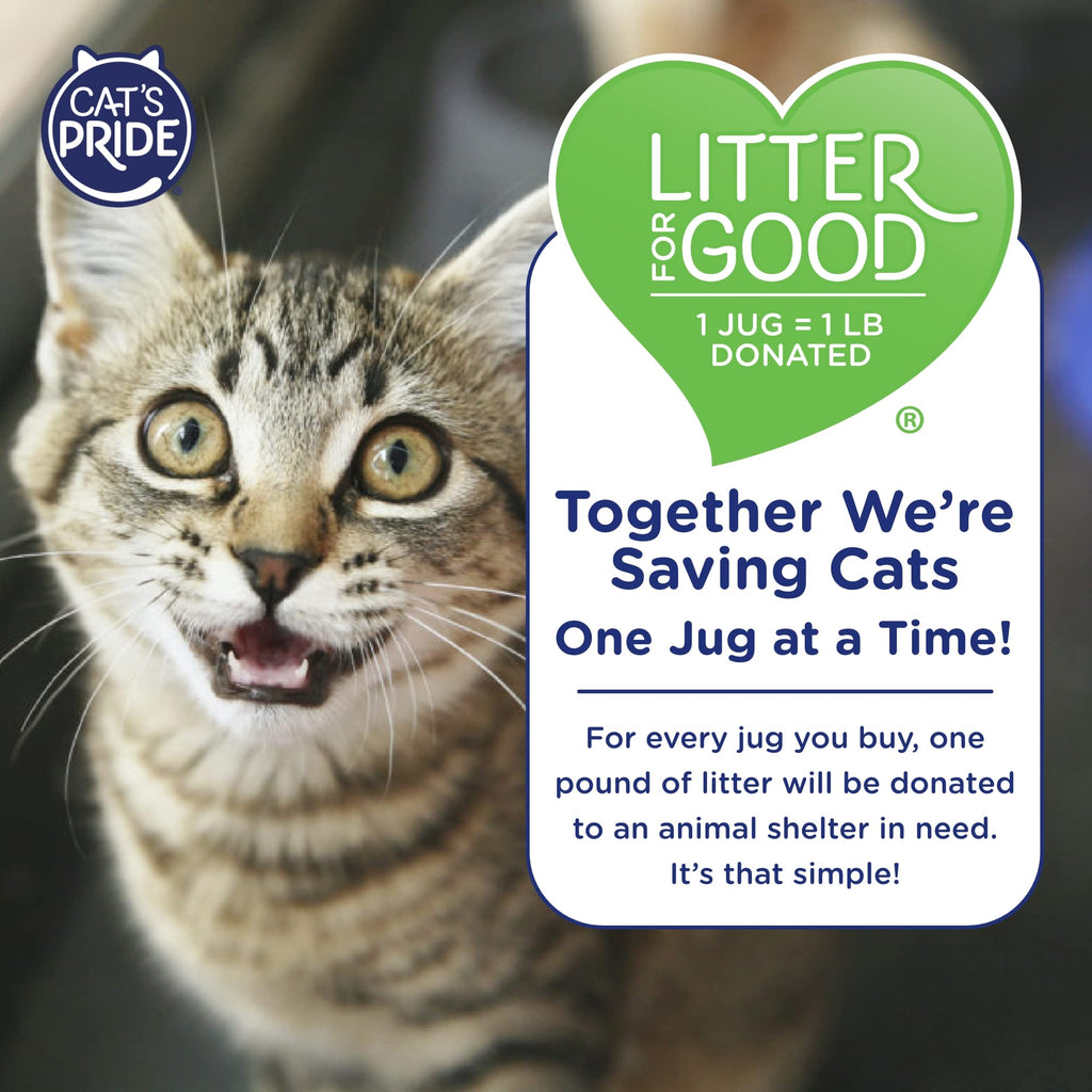 Scented Clumping Cat Litter 10lb B456