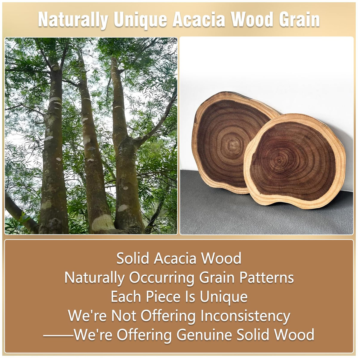 Acacia Wood Corner Bread Box T433