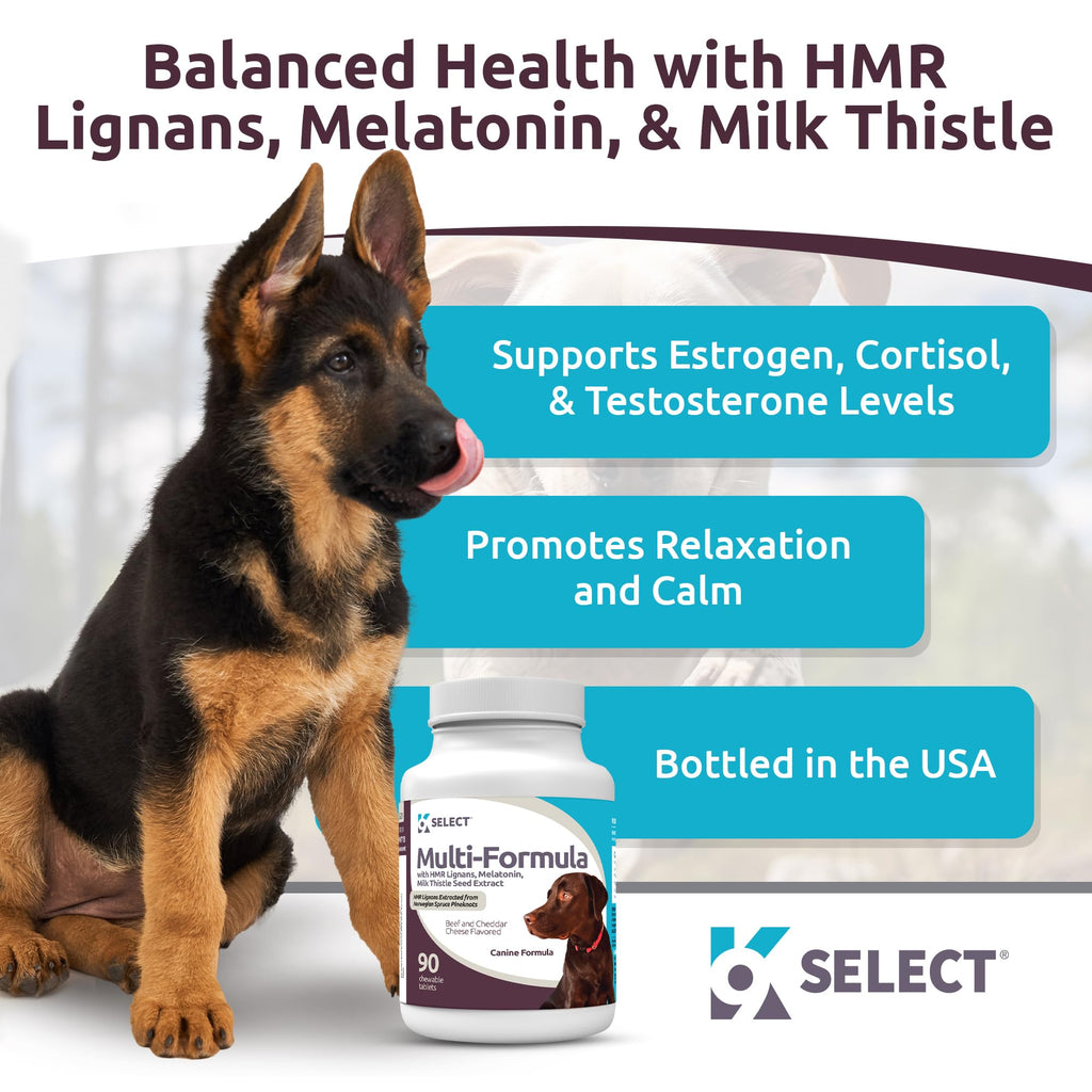90 Tablets Beef Flavor Dog Multivitamin Y582600