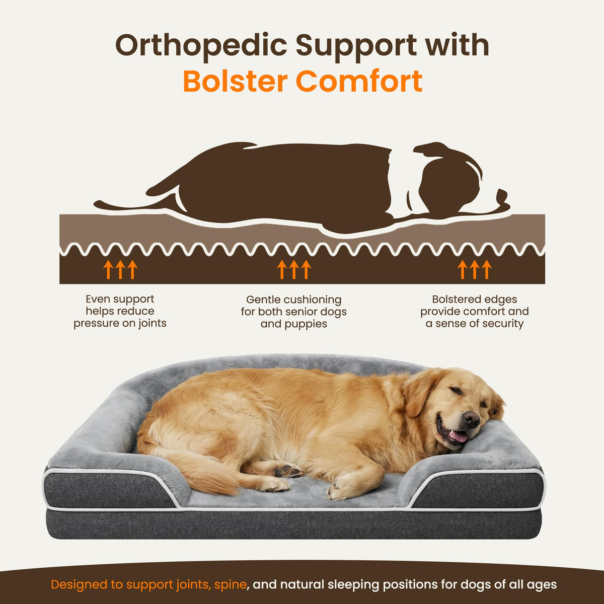XL Orthopedic Dog Bed Q26159