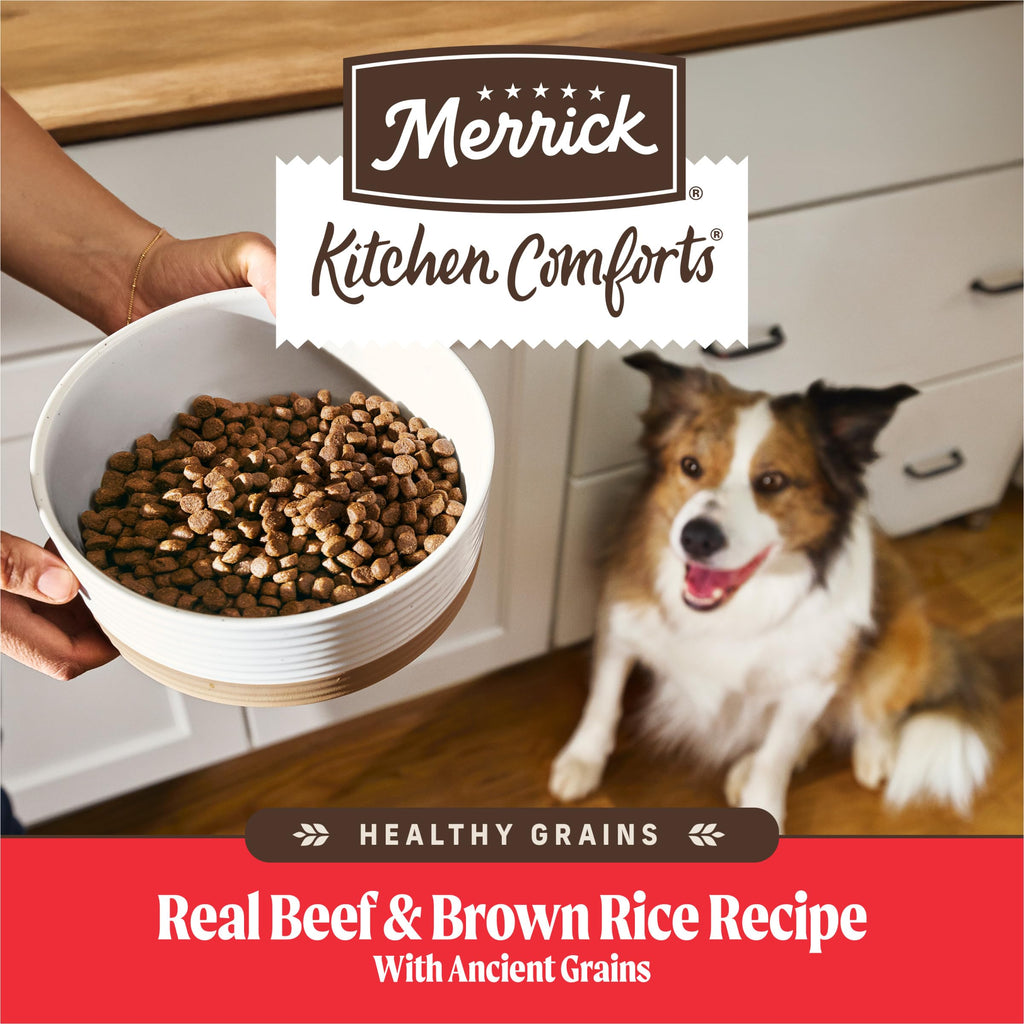 Adult Dry Dog Food Beef and Brown Rice 12 lb W680124