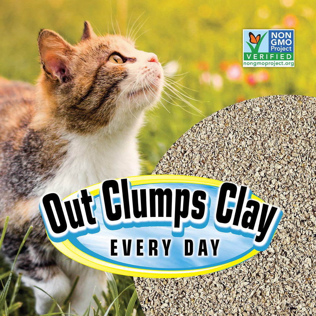 All Natural Clumping Cat Litter, 20 Pound, Unscented, Lightweight Y102779