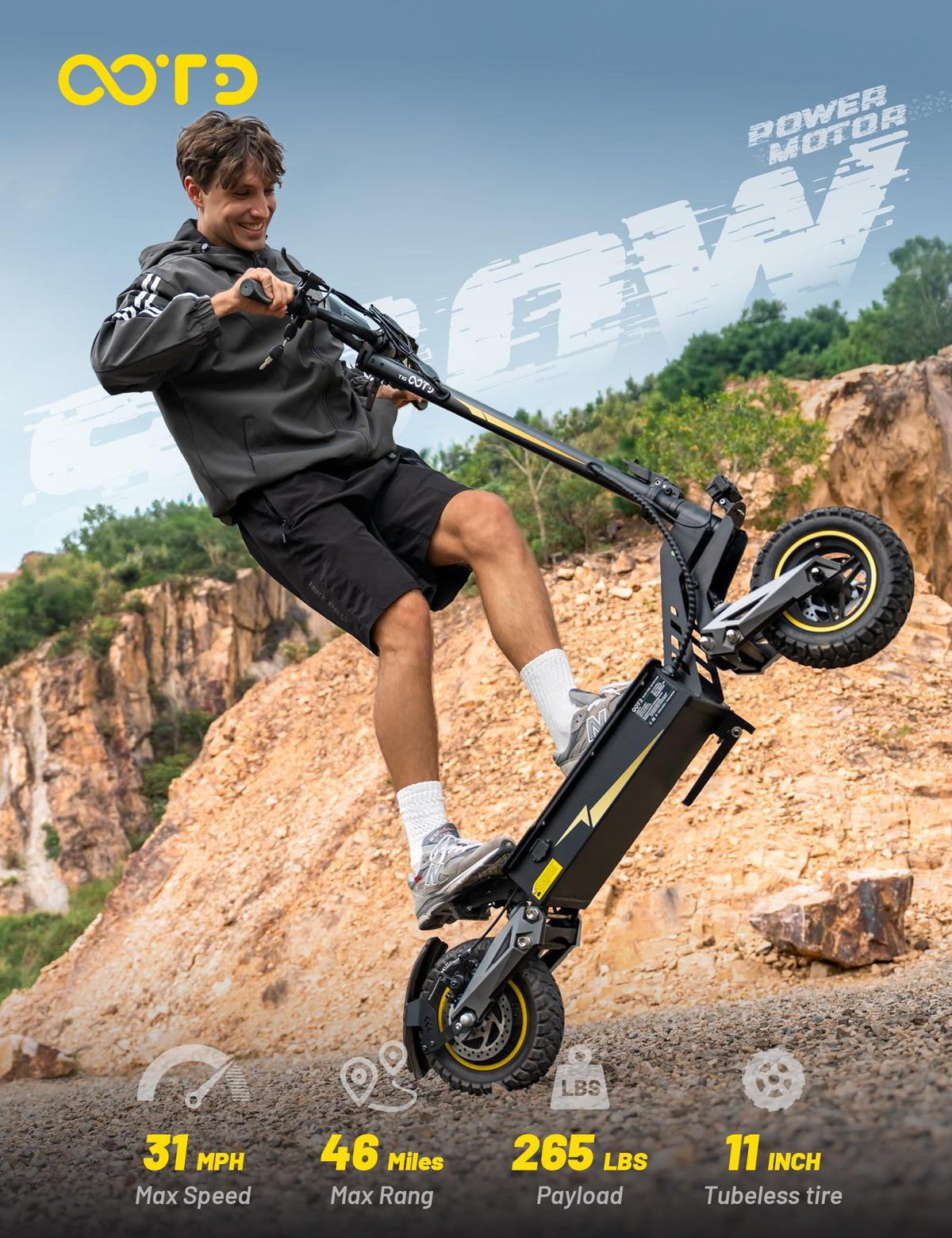 Electric Scooter with 11" All-Terrain Tire L753