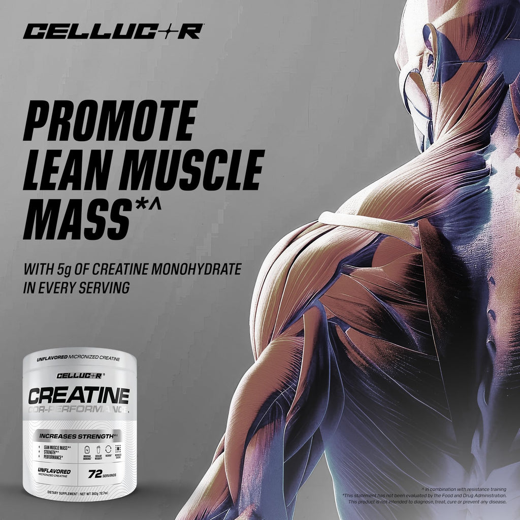 Creatine Monohydrate 72 Servings Y489