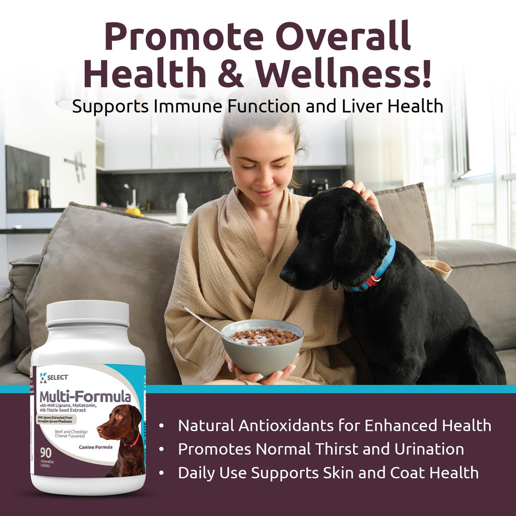 90 Tablets Beef Flavor Dog Multivitamin Y582600