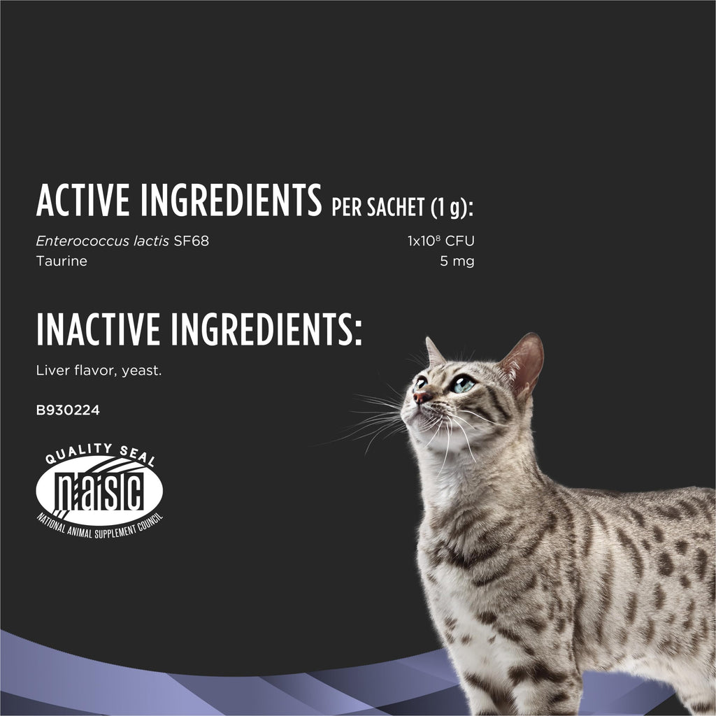 Probiotic Powder Supplement for Cats O9560