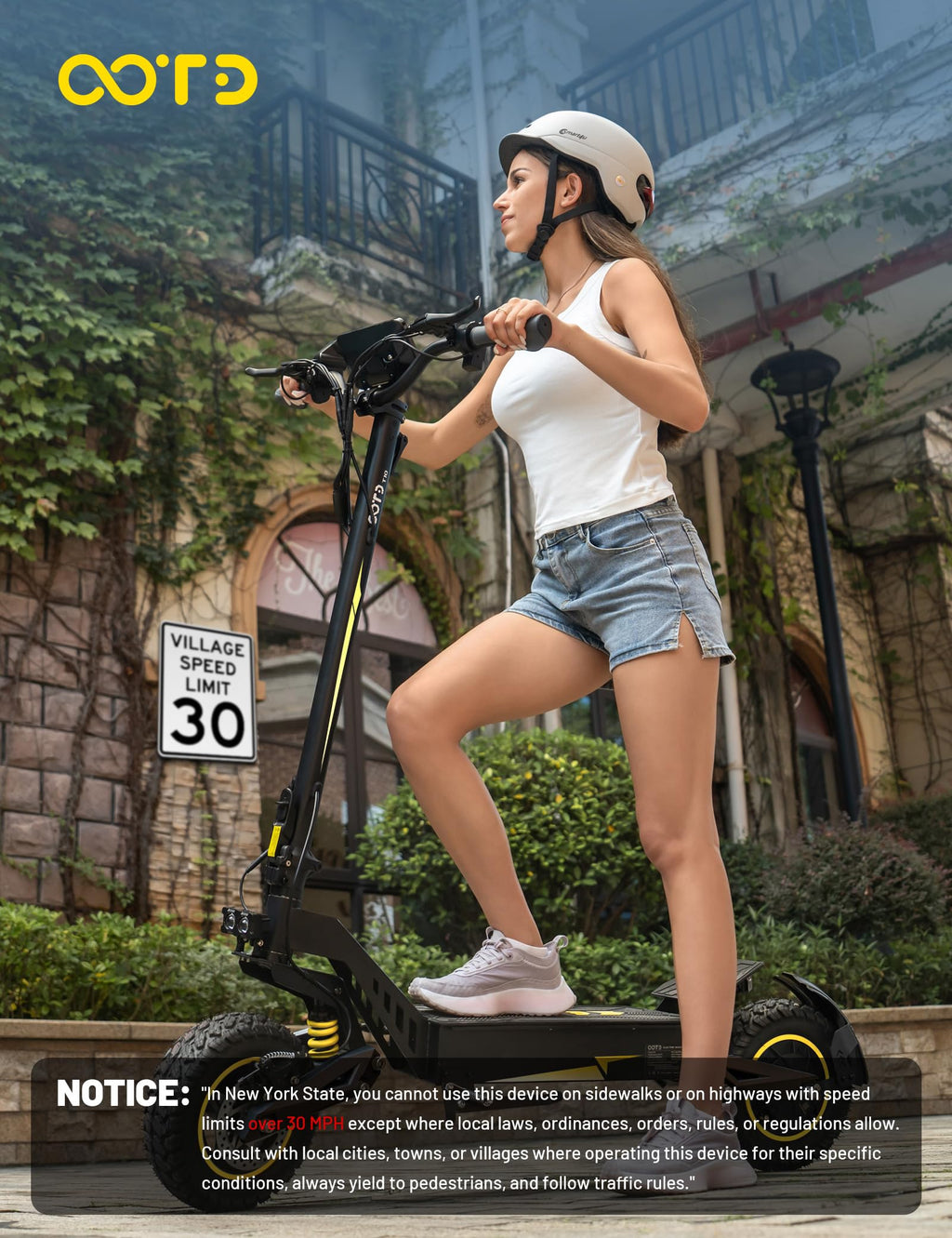 Electric Scooter with 11" All-Terrain Tire L753