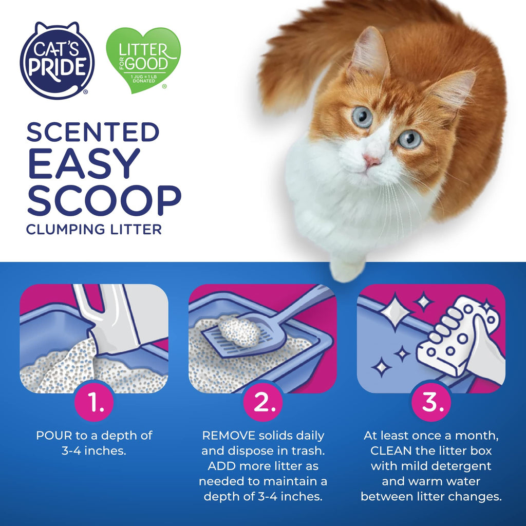 Scented Clumping Cat Litter 10lb B456