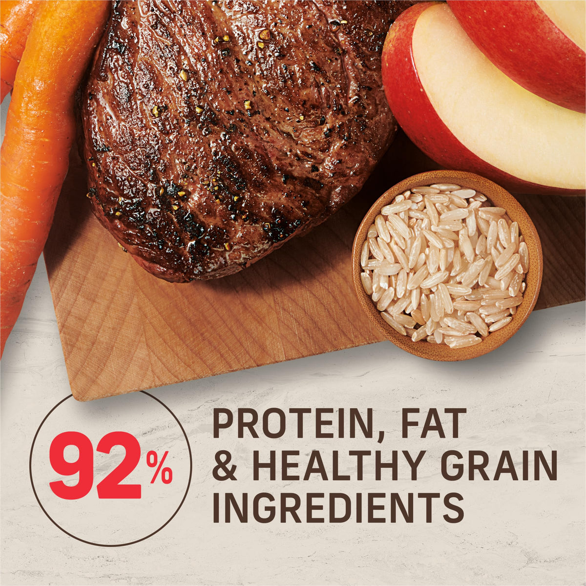 Adult Dry Dog Food Beef and Brown Rice 12 lb W680124