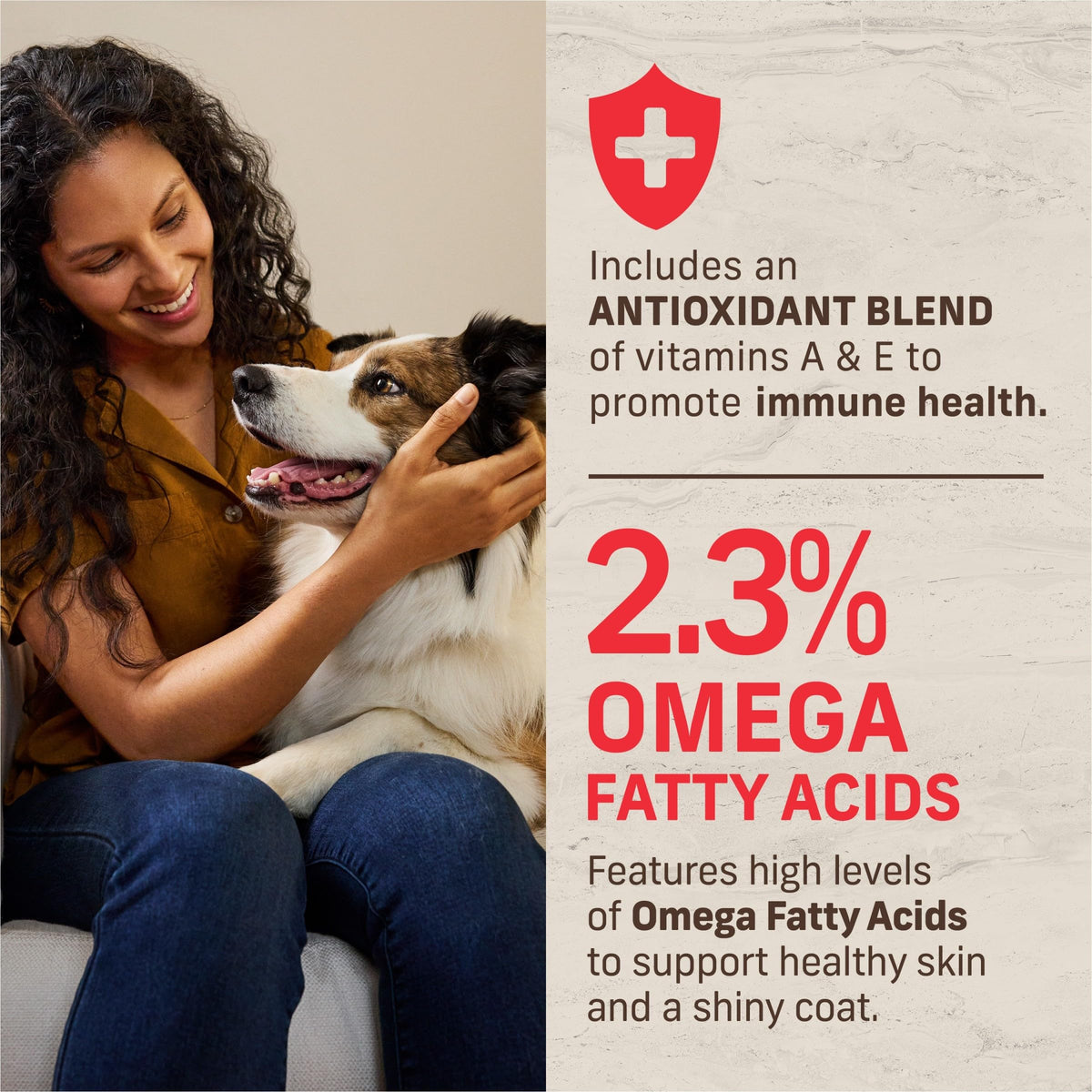Adult Dry Dog Food Beef and Brown Rice 12 lb W680124