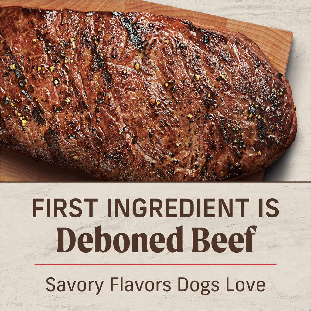 Adult Dry Dog Food Beef and Brown Rice 12 lb W680124